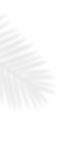 Touch Skill-parents-image